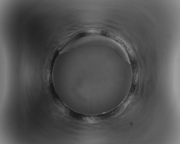 X0000087710417200705111425