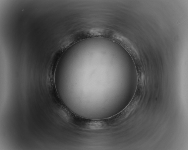 X0000087710418200705111425