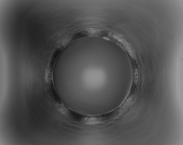 X0000087710419200705111425