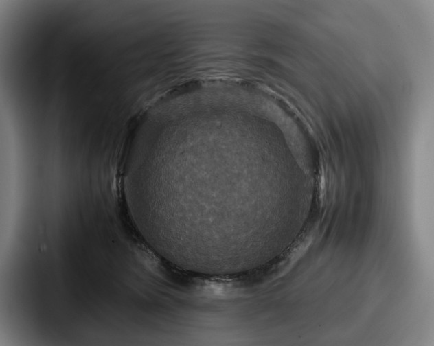 X0000087710420200705111425