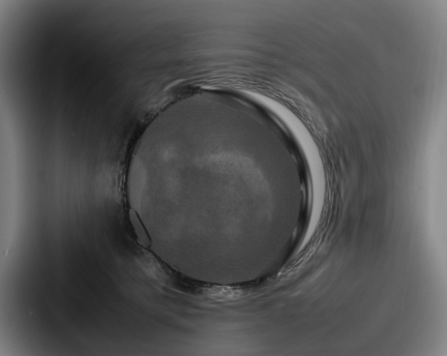 X0000087710421200705111425
