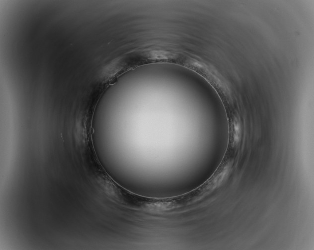 X0000087710422200705111425