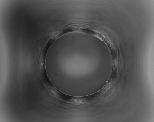 X0000087710423200705111425