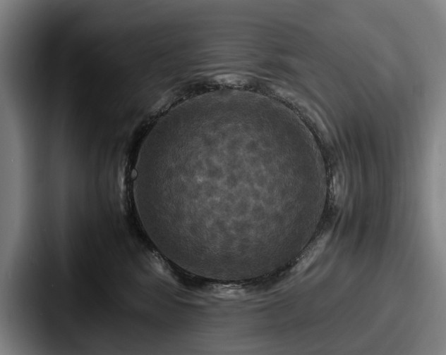 X0000087710424200705111425