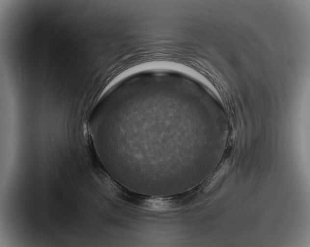X0000087710425200705111425