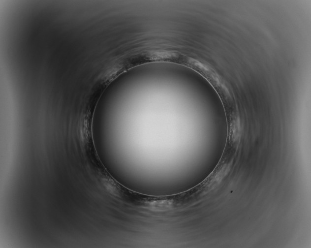 X0000087710426200705111424