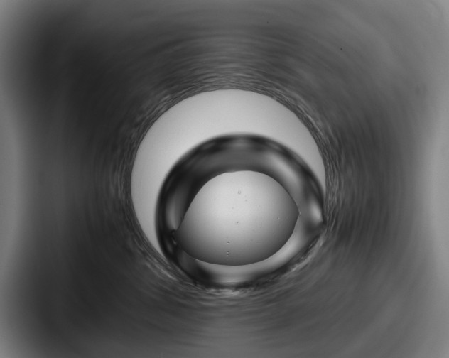 X0000087710428200705111424
