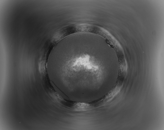 X0000087710429200705111424