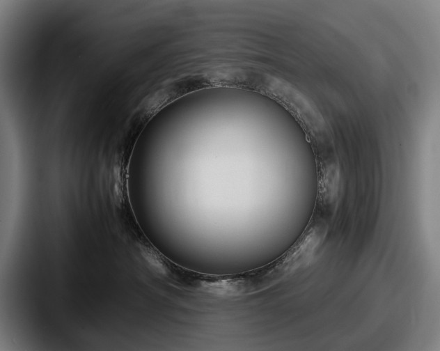 X0000087710430200705111424