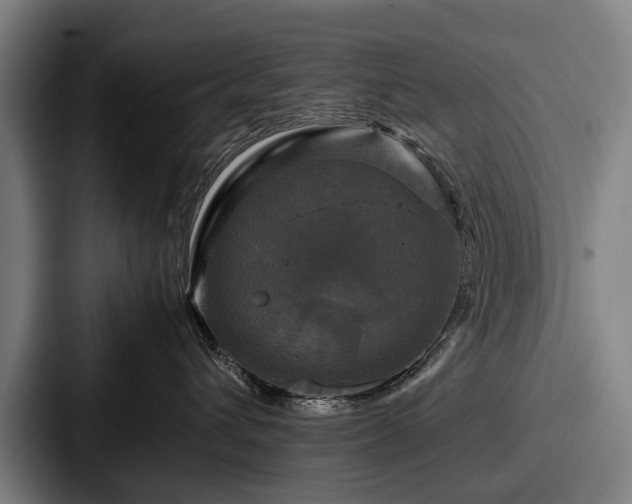 X0000087710432200705111424