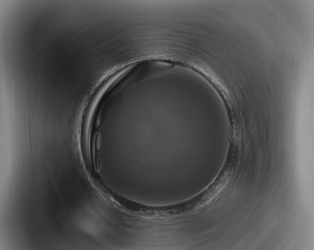 X0000087710434200705111424