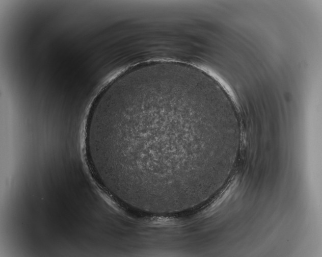 X0000087710437200705111424