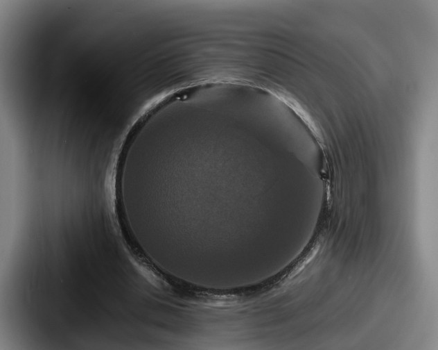 X0000087710438200705111424
