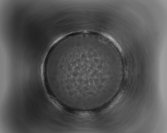 X0000087710439200705111424