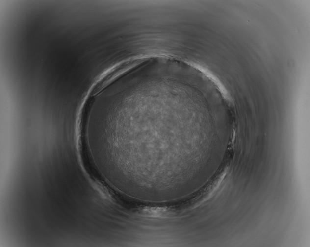 X0000087710440200705111424