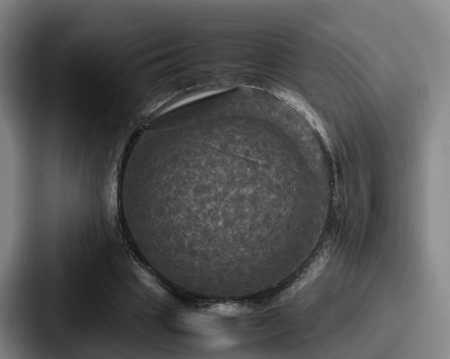 X0000087710441200705111424