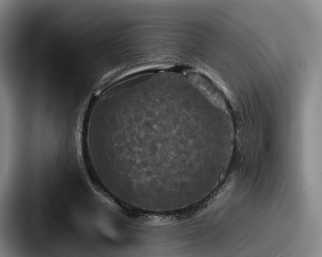 X0000087710442200705111424