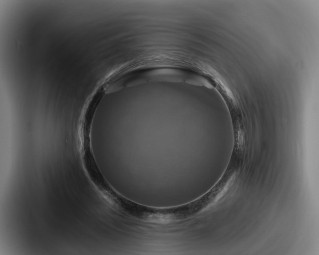 X0000087710444200705111424