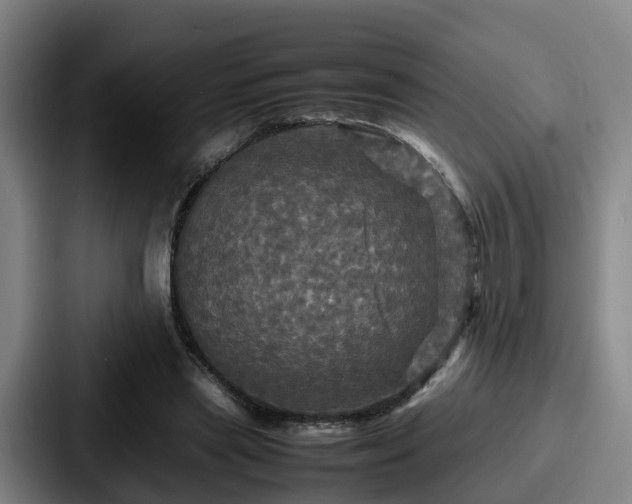 X0000087710445200705111424