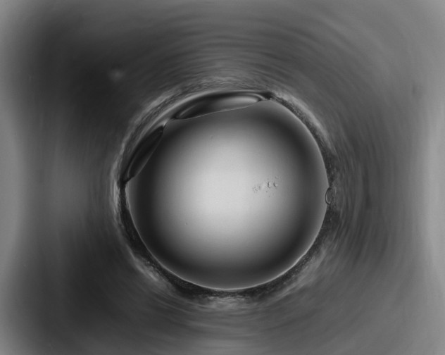 X0000087710446200705111424