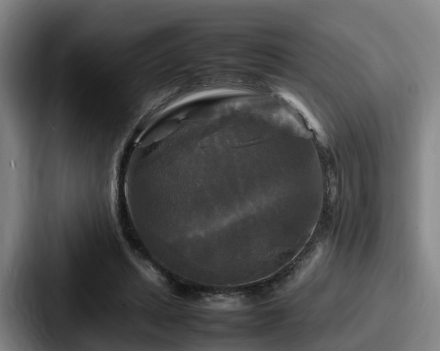 X0000087710447200705111424