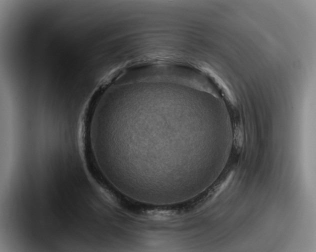 X0000087710448200705111424