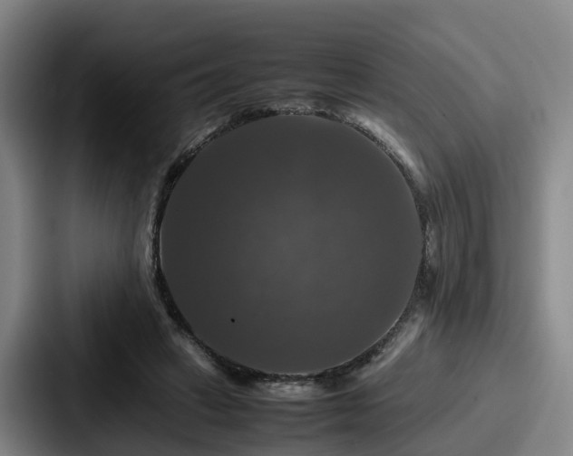 X0000087710449200705111424