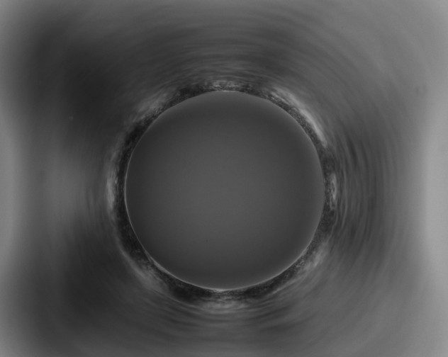 X0000087710451200705111424