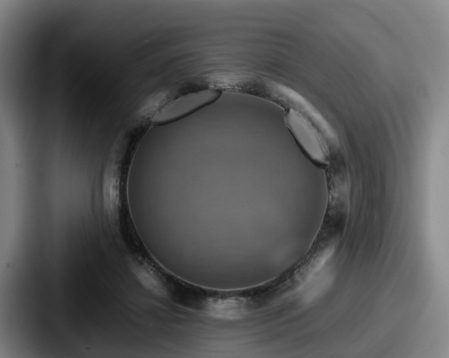 X0000087710452200705111424