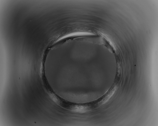 X0000087710453200705111424