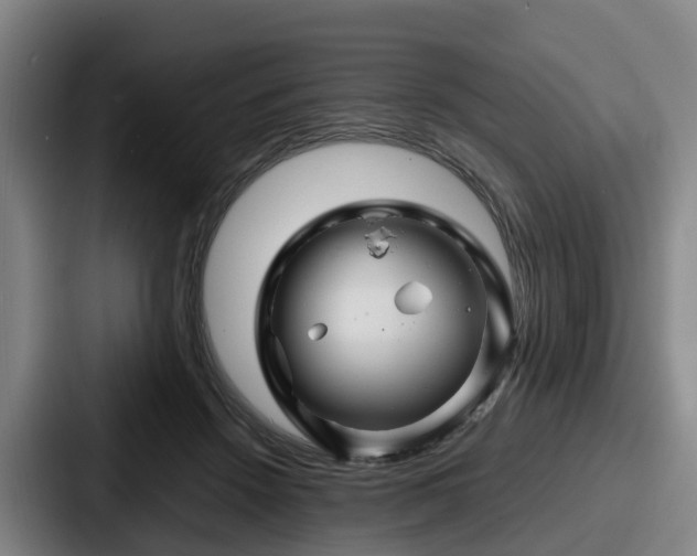 X0000087710456200705111424