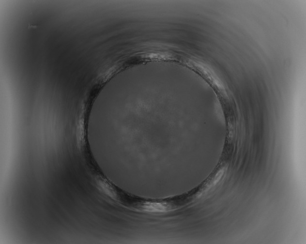 X0000087710457200705111424