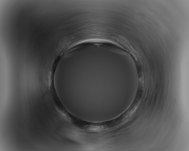 X0000087710458200705111424