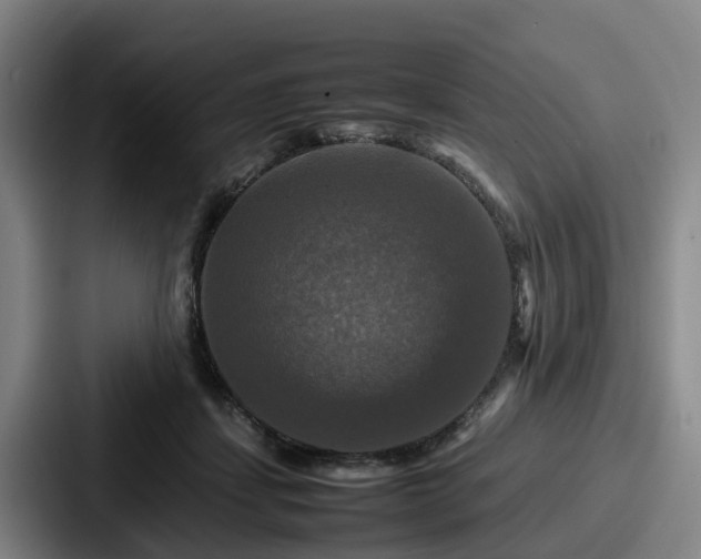 X0000087710459200705111424