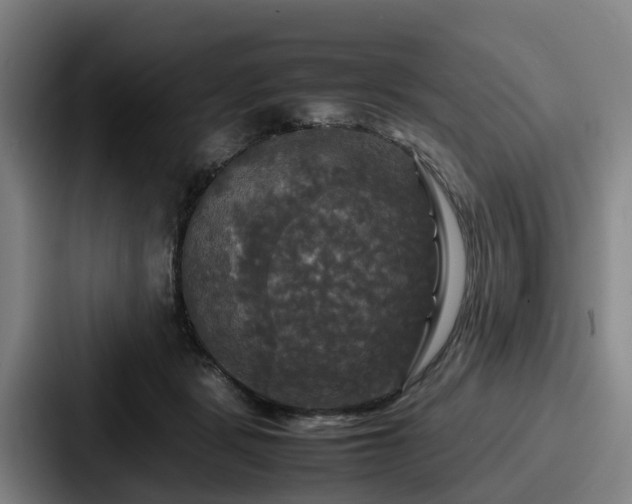 X0000087710461200705111424
