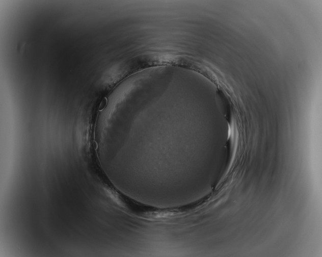 X0000087710462200705111424