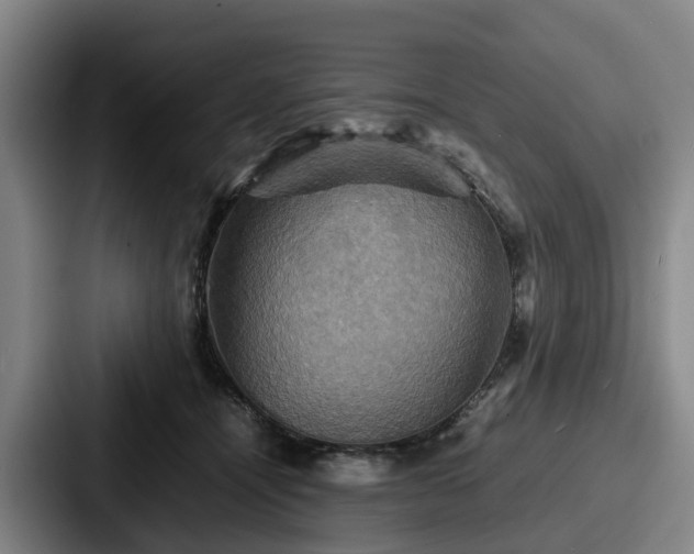 X0000087710464200705111424
