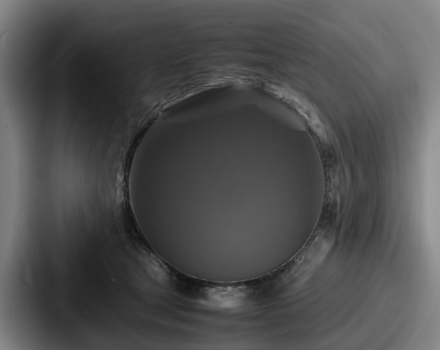 X0000087710465200705111424