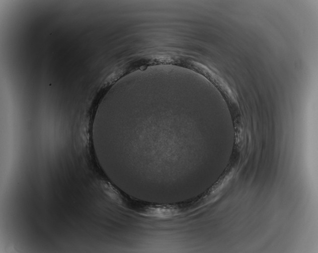 X0000087710466200705111424