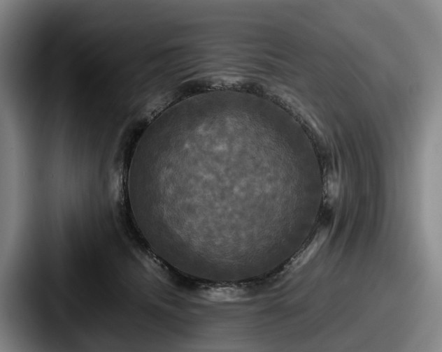 X0000087710468200705111424