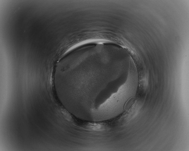 X0000087710469200705111424