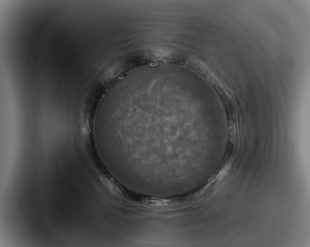 X0000087710472200705111424
