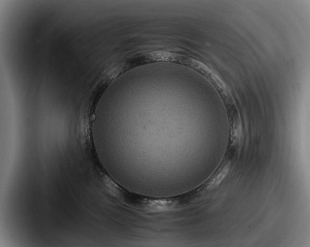 X0000087710473200705111424