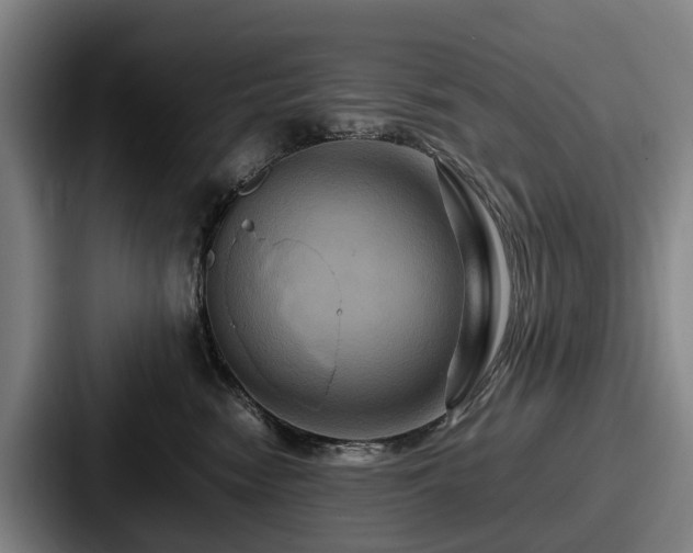 X0000087710474200705111424