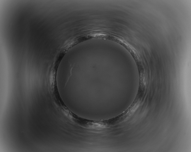 X0000087710475200705111424