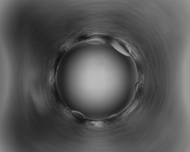 X0000087710478200705111424