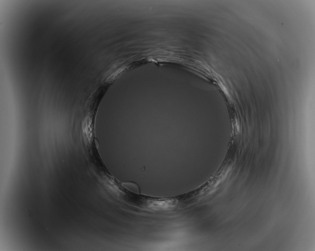 X0000087710479200705111424