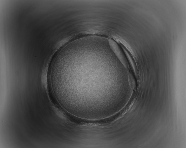 X0000087710482200705111424