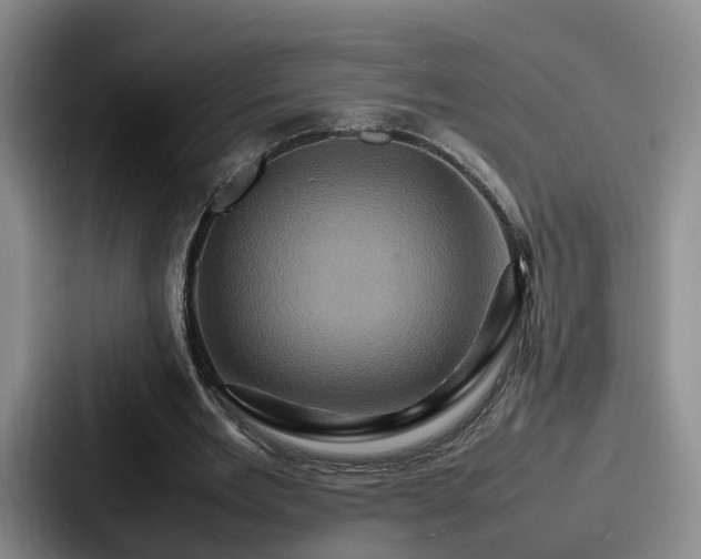 X0000087710485200705111424