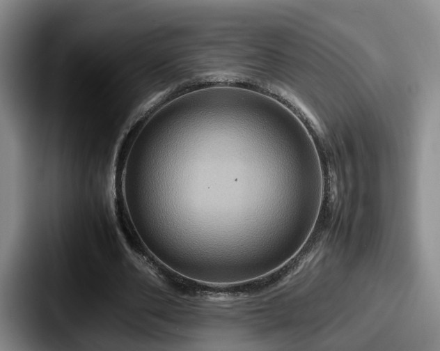 X0000087710486200705111424